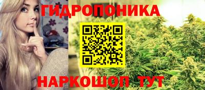 ешки Красноармейск
