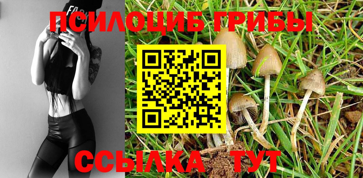 Псилоцибиновые грибы мухоморы Балашиха