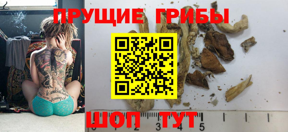 Балашиха  Псилоцибиновые грибы мухоморы  Вход с VPN  Галлюциногенные грибы Magic Shrooms 
